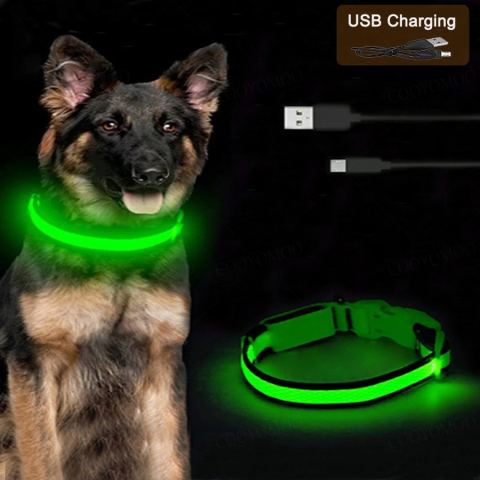 Collier lumineux LED pour chien